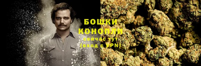 Каннабис White Widow  Наволоки 